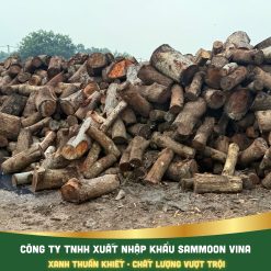 Củi Điều - Chất Đốt Lò Hơi