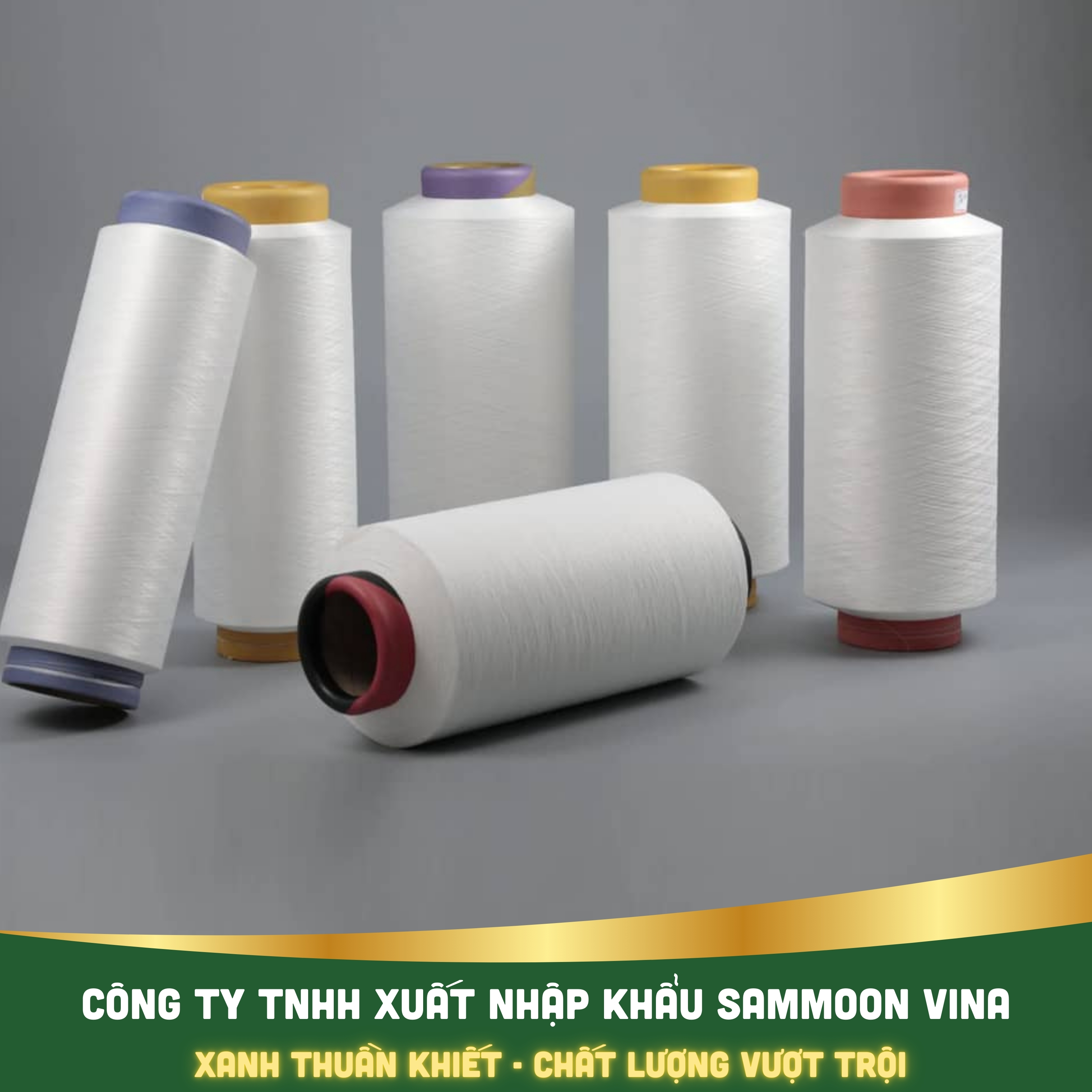 Sợi Polyester DTY Trắng